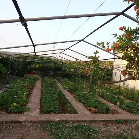 公寓 Jenny's House *