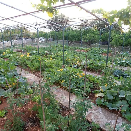 Jenny's House 公寓