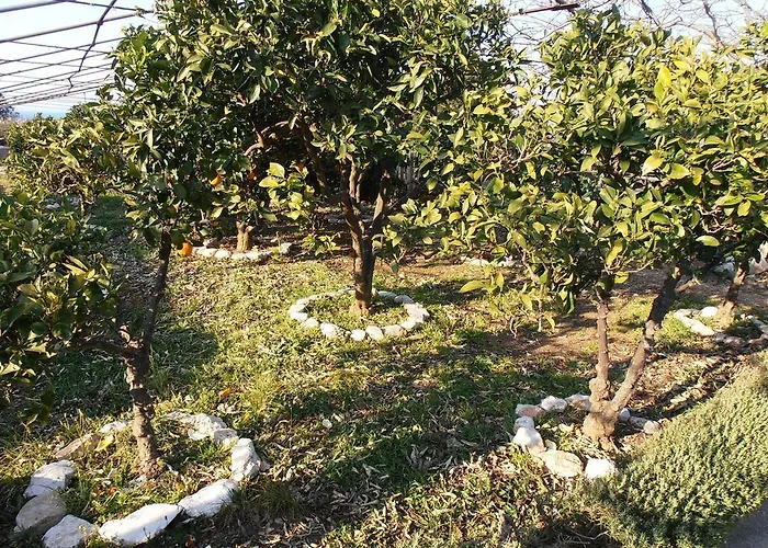 Lägenhet Jenny's House Supetar