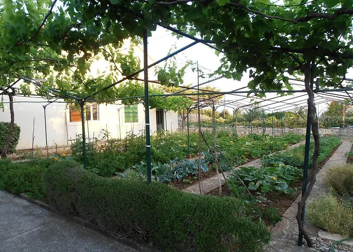 Lägenhet Jenny's House