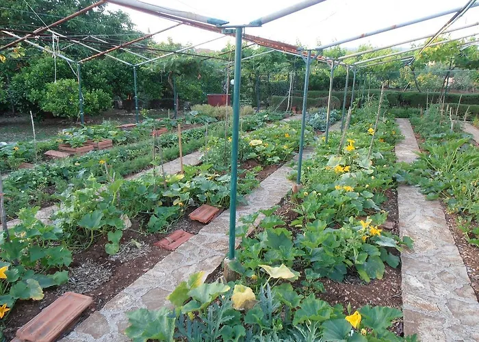 Jenny's House Supetar