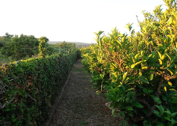 Jenny's House Lägenhet