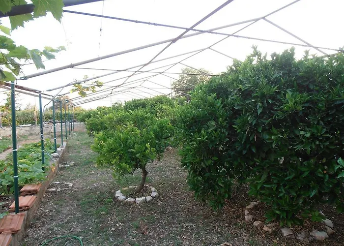 Lägenhet Jenny's House Supetar