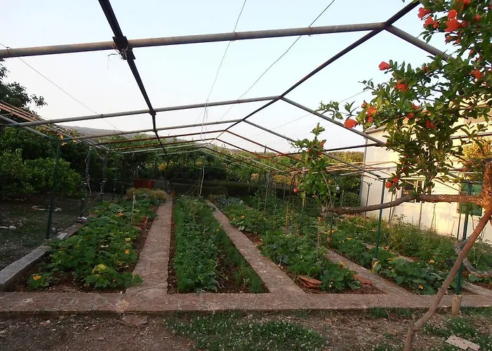 Lägenhet Jenny's House *