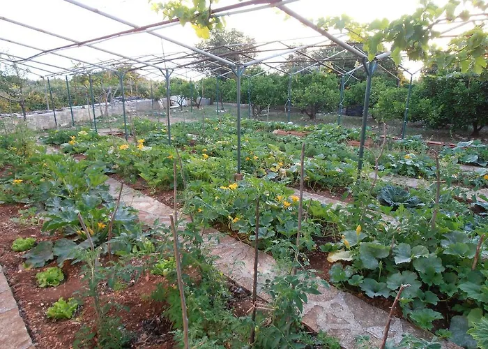 Jenny's House Lägenhet