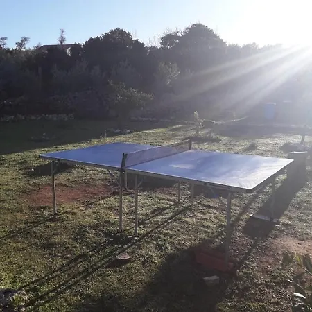 Jenny's House * سوبيتار