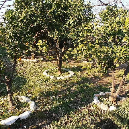 Appartamento Jenny's House San Pietro di Brazza