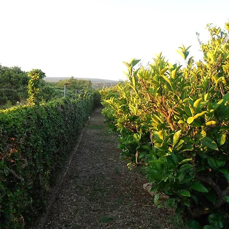 Jenny's House شقة