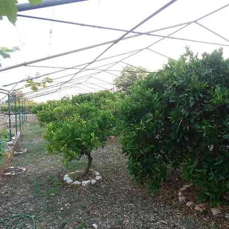 Appartamento Jenny's House San Pietro di Brazza